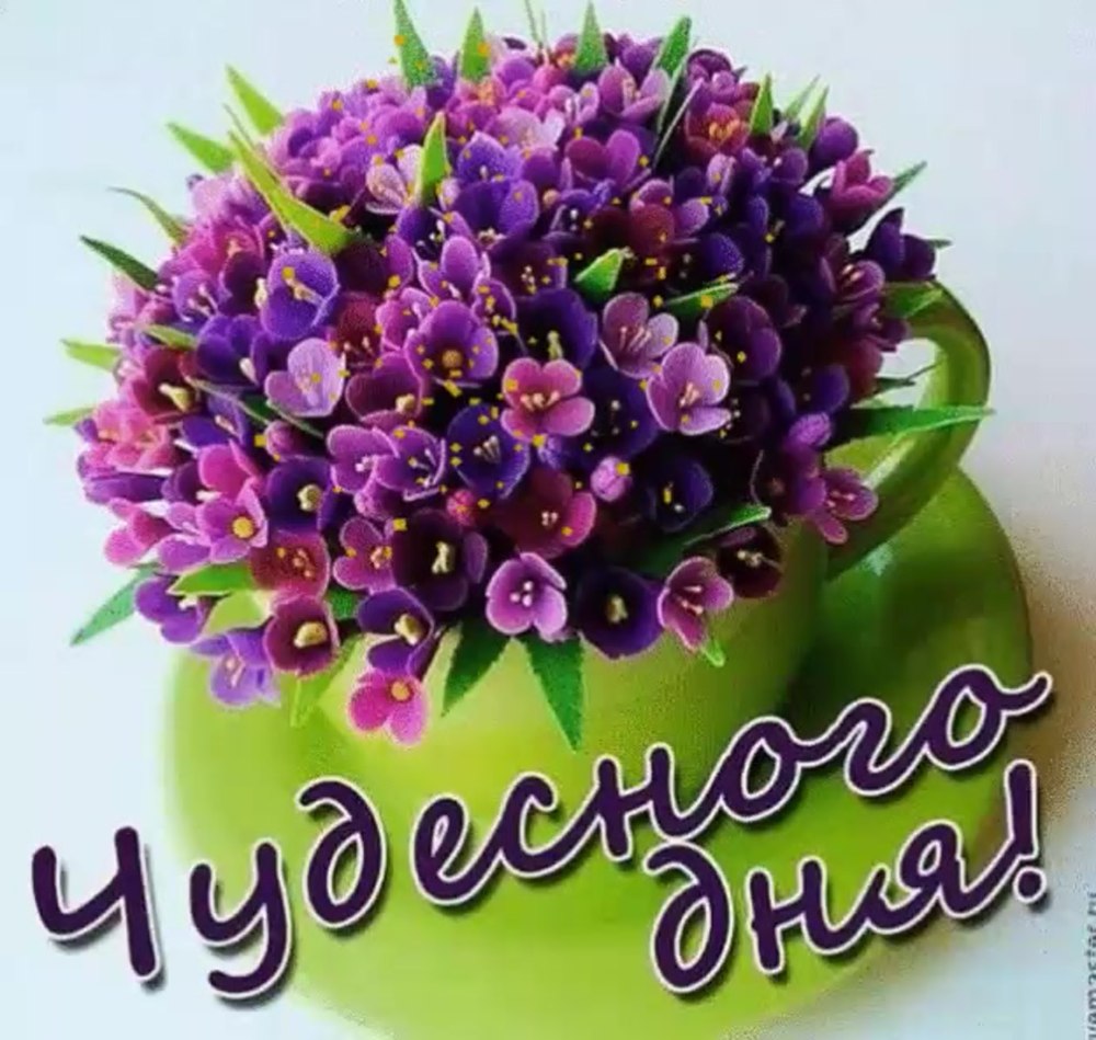 Лукошко счастья