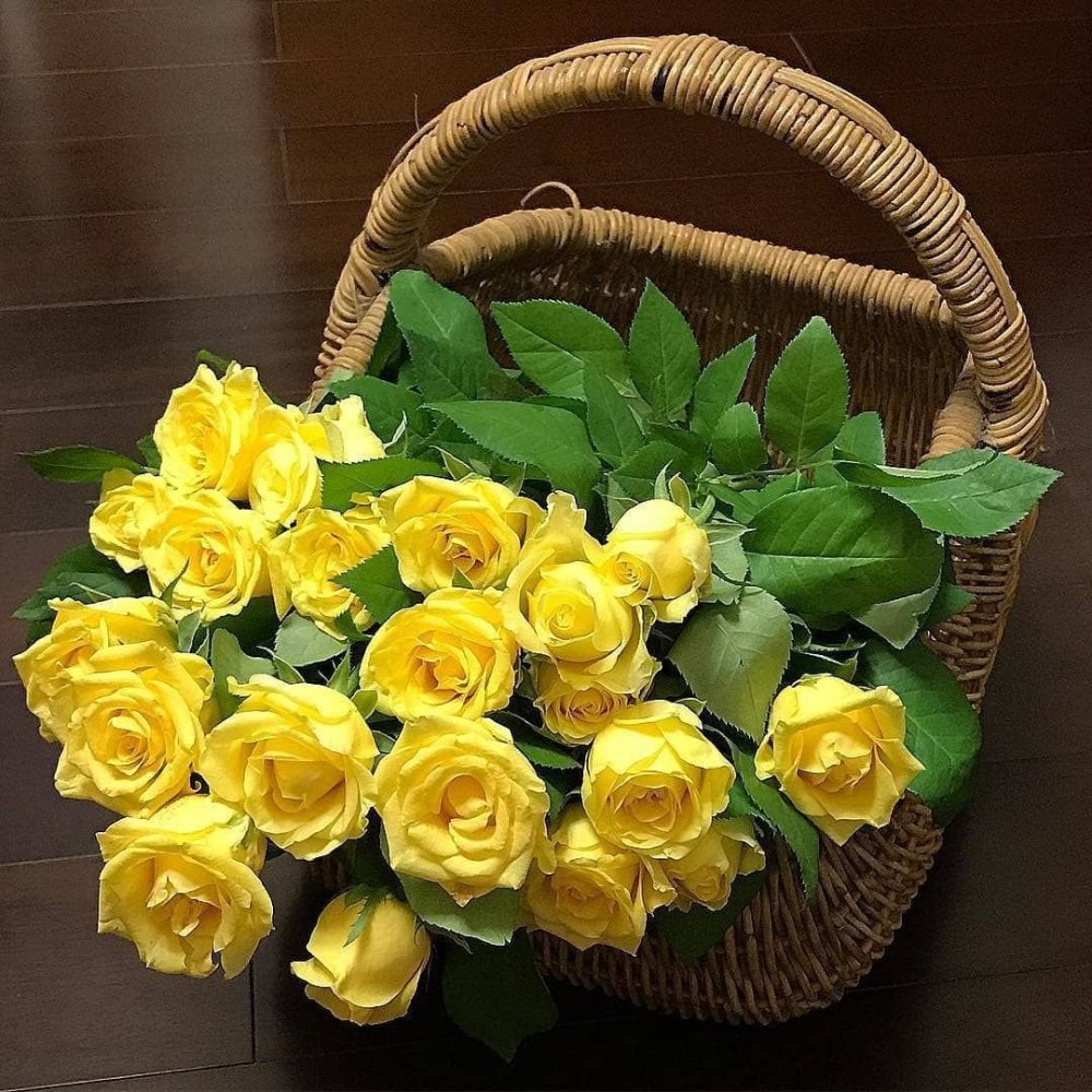Желтые розы в корзине
