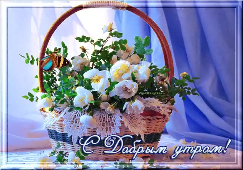 Цветы в корзине с пожеланиями