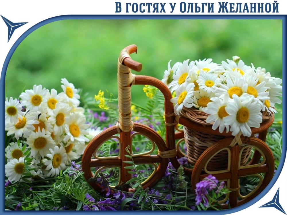 Прекрасного летнего дня