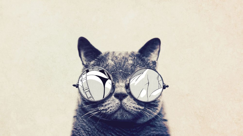 Крутые коты
