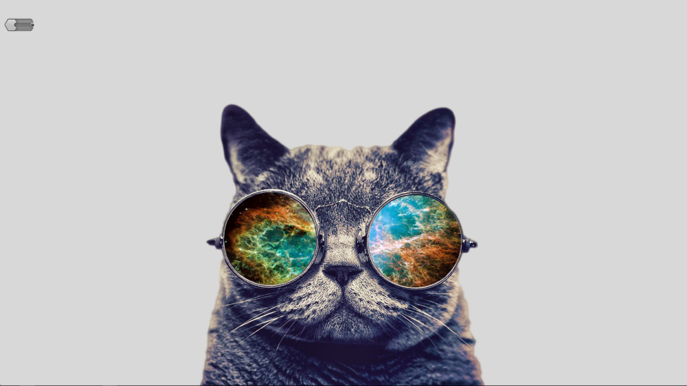 Кот в очках