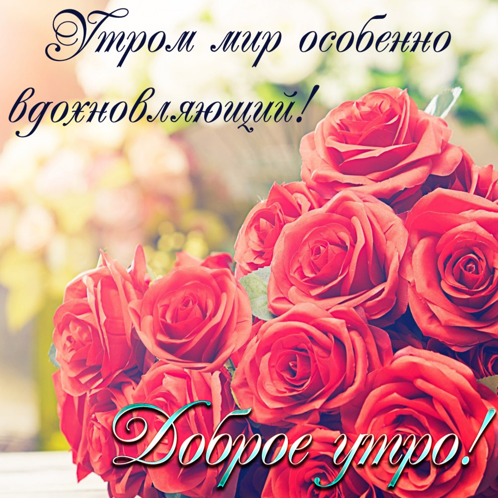 Красивые букеты с добрым утром