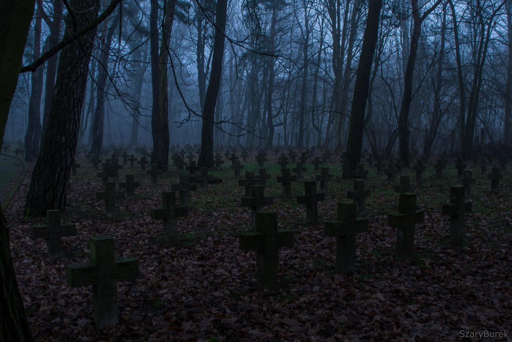 Лагерь в лесу Эстетика