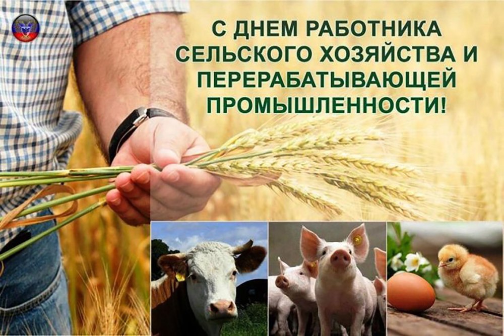 С днем работника сельского хозяйства и перерабатывающей