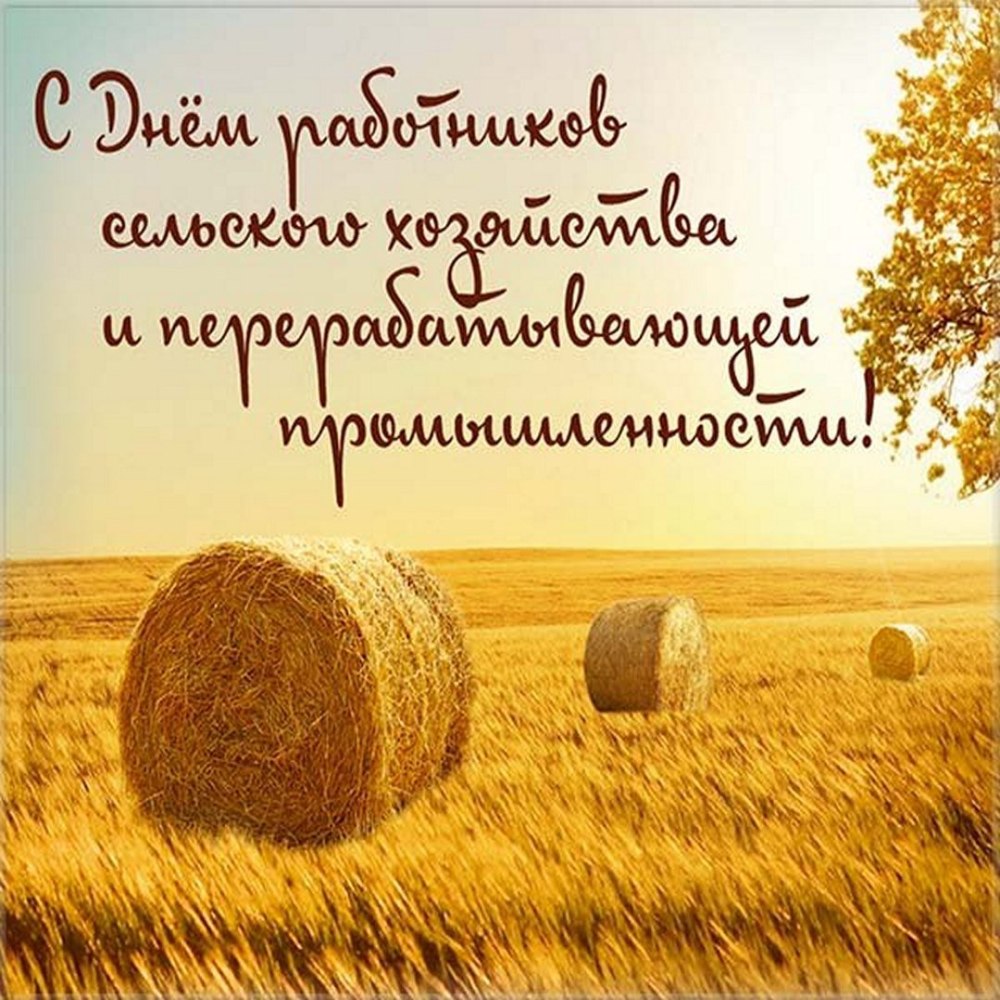 День работников сельского хозяйства в 2024 году: история и традиции праздника