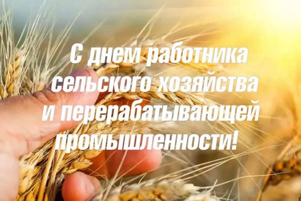 С днем работника сельского хозяйства