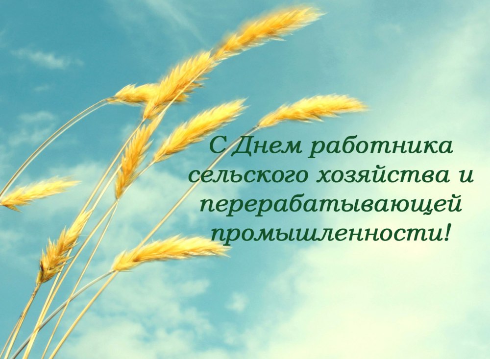 С днем работника сельского хозяйства