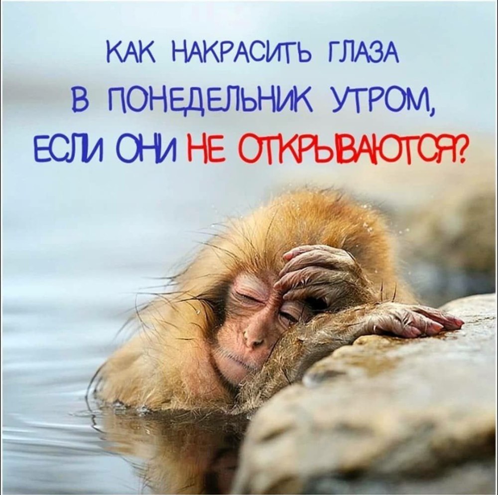 Демьян Сушан