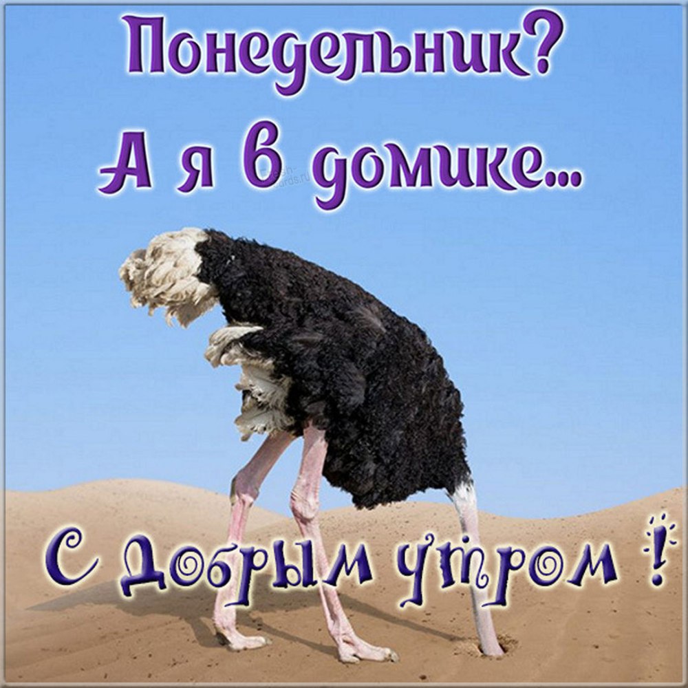 Утро понедельника