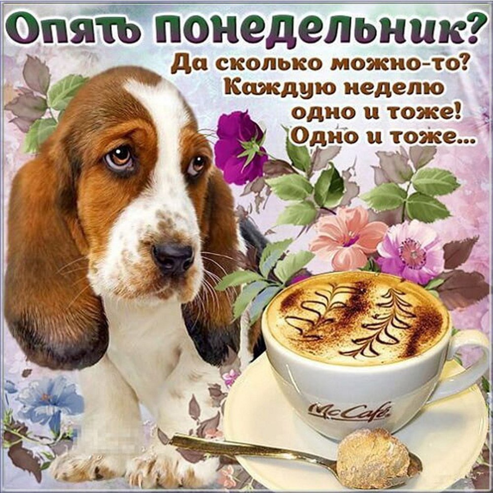 Поздравление с понедельником