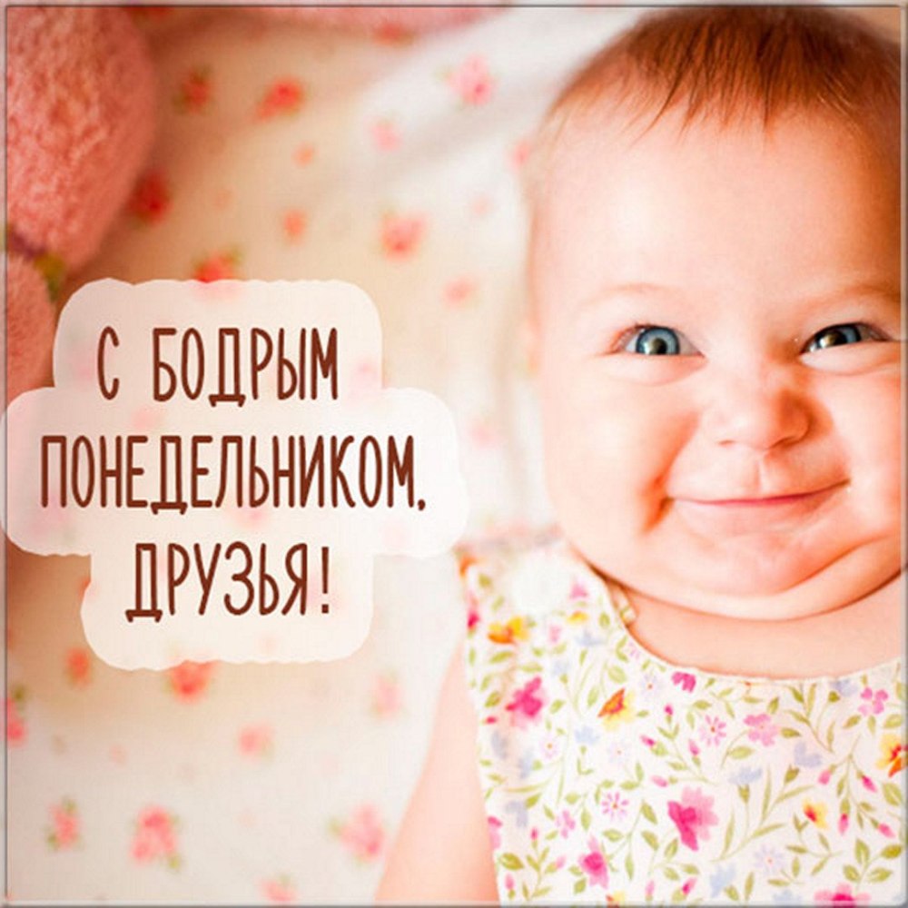Понедельник юмор