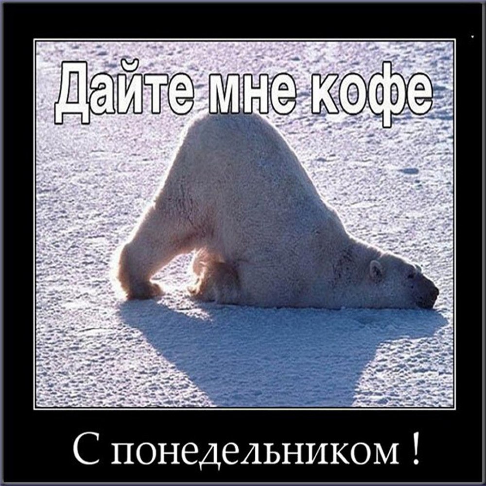 Шутки про понедельник