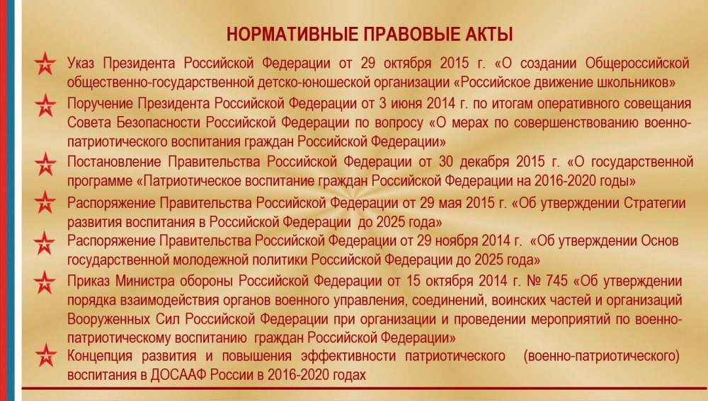 Структура Юнармии