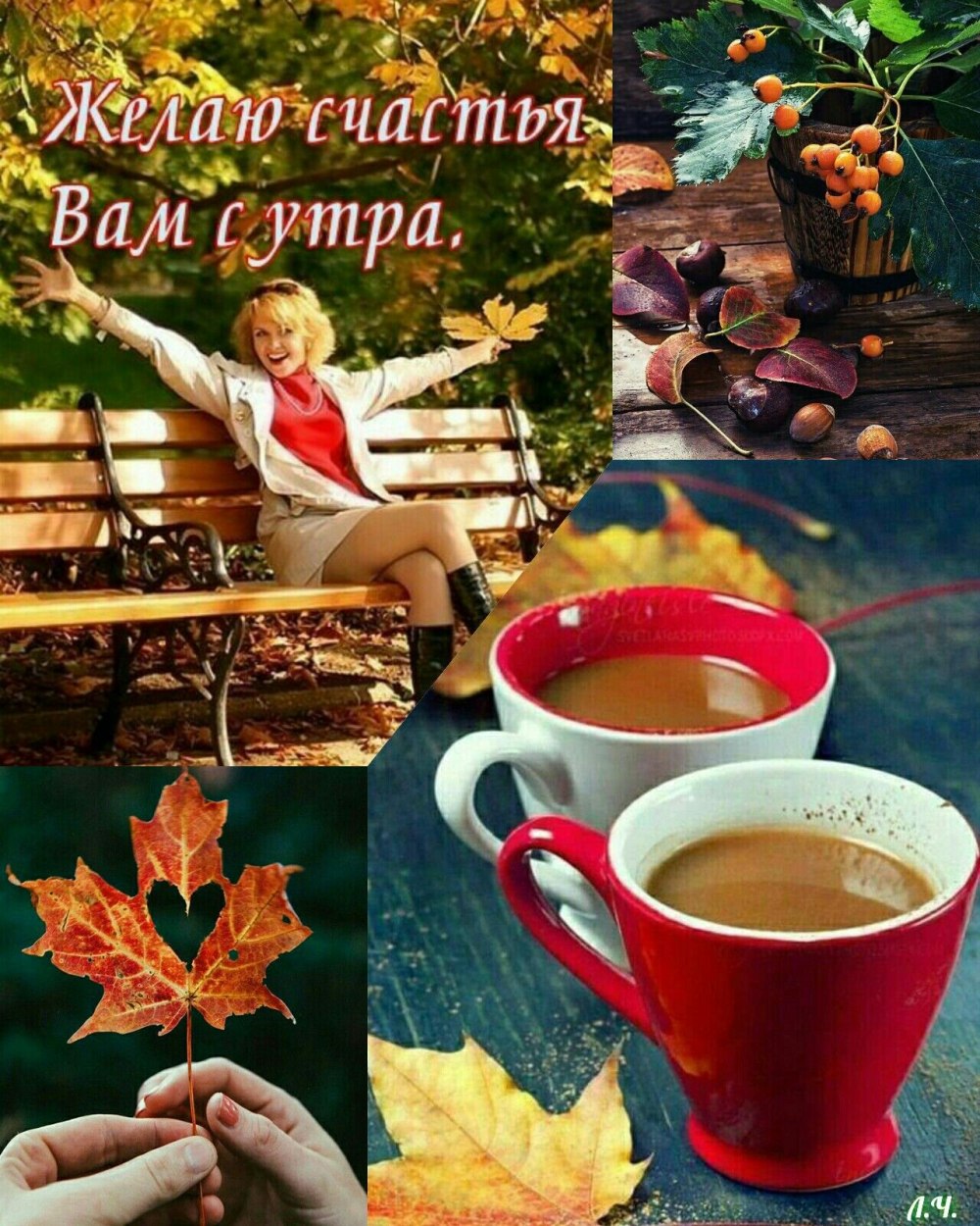 Доброе осеннее утро