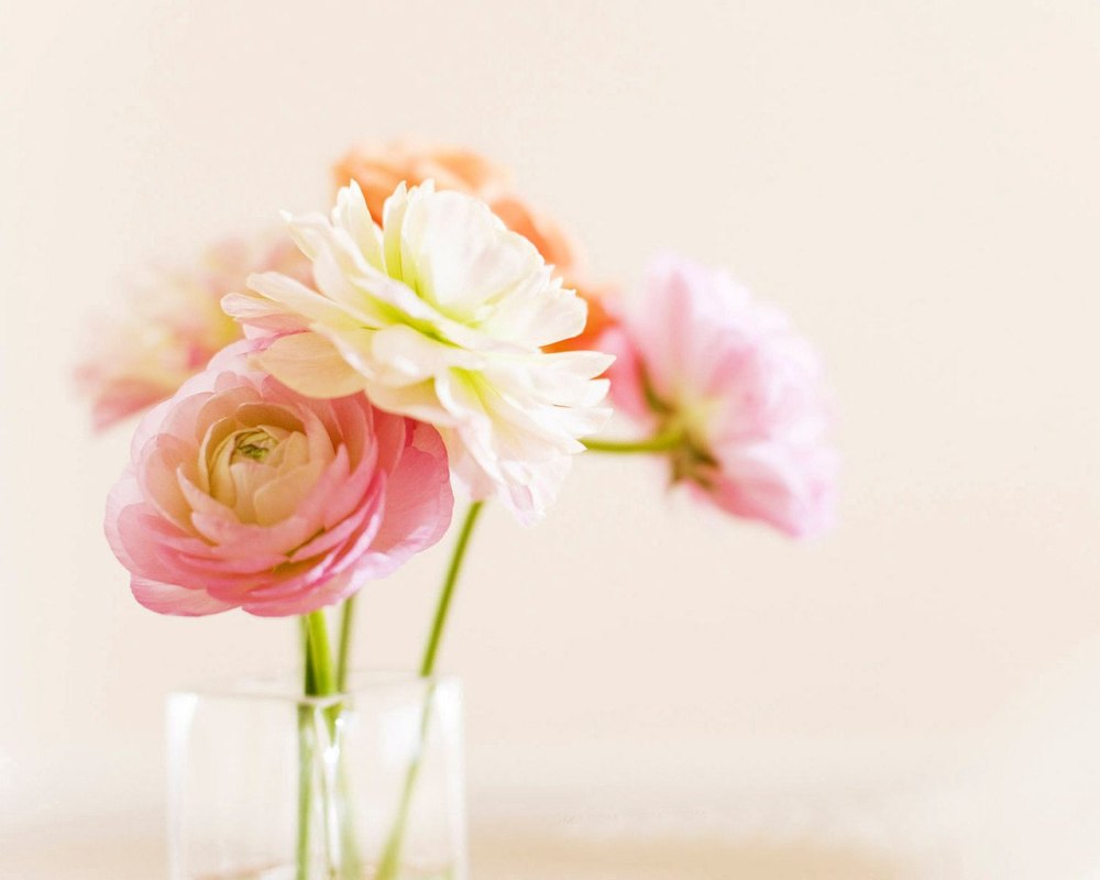 Стихи с днём рождения