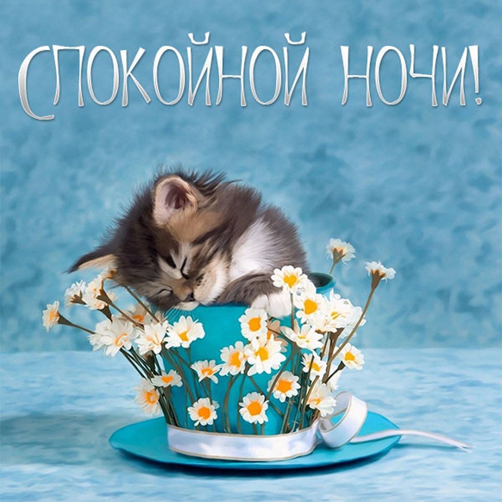 Реаночка с днём рождения