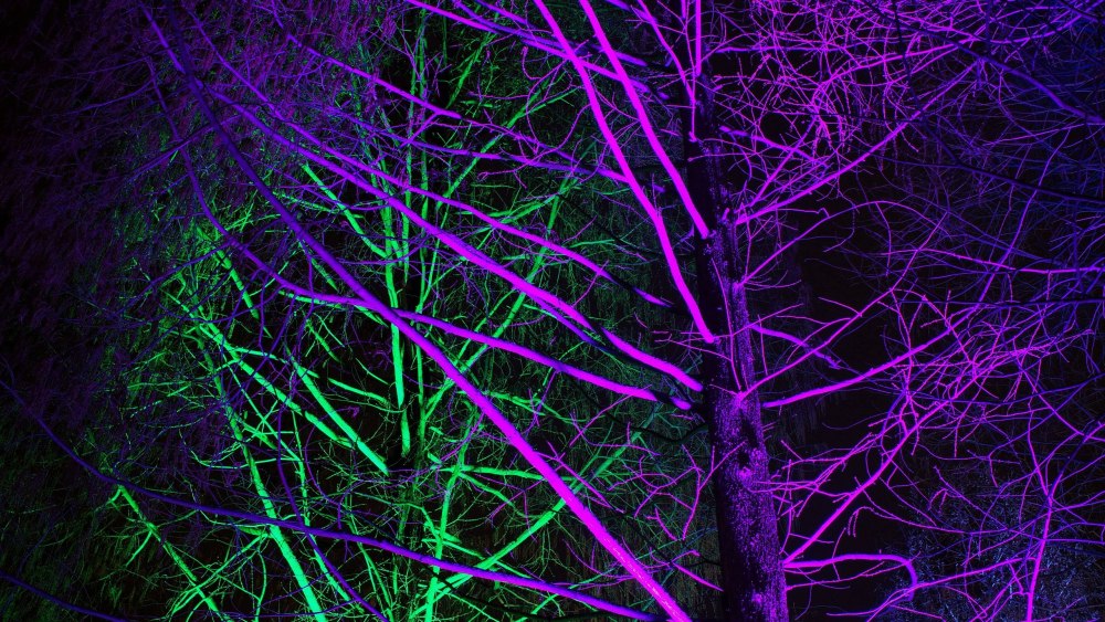 Cyberpunk 2077 город 4k Neon