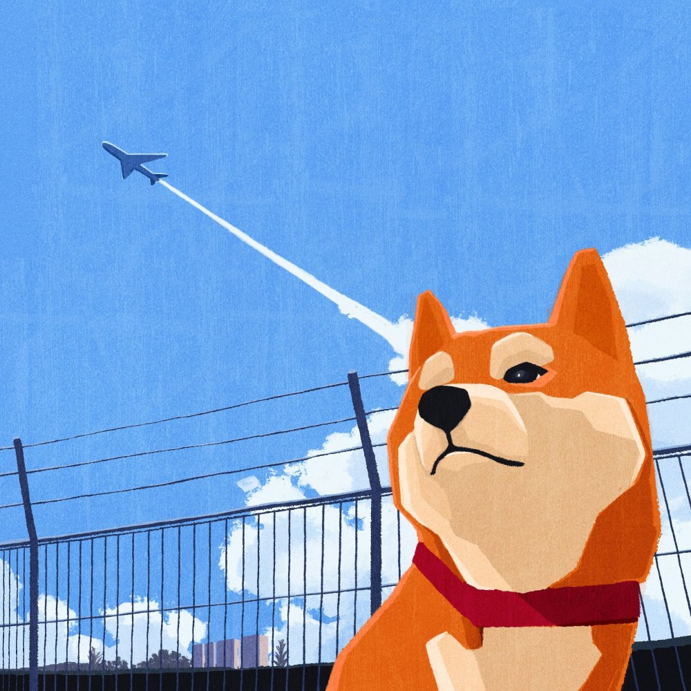 Церберус корги