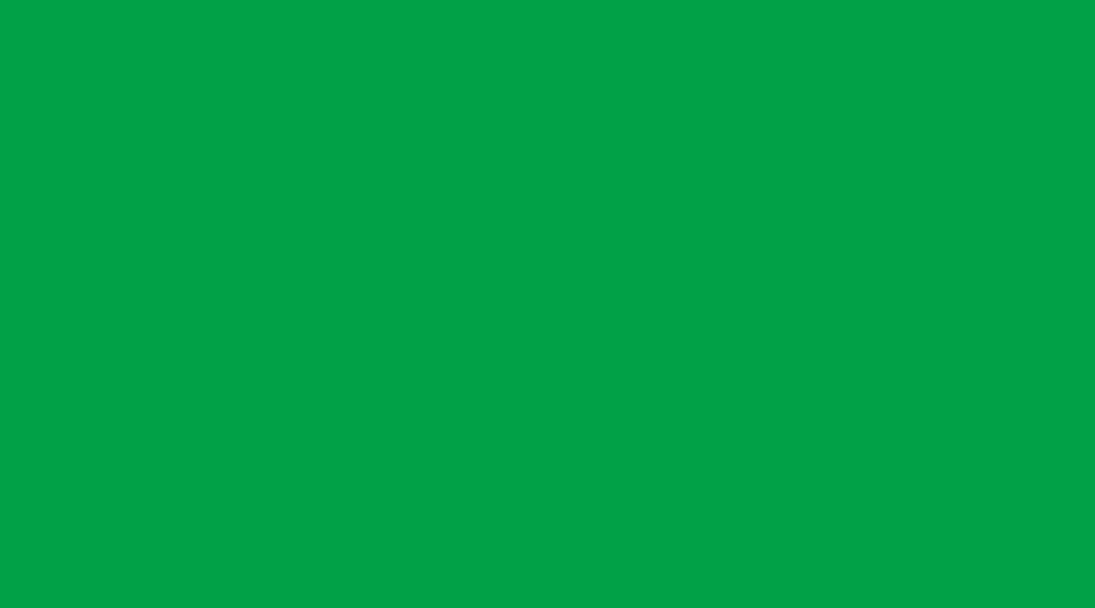 Хромакей фон Green Screen