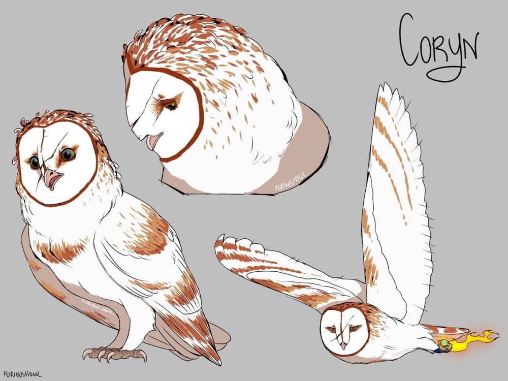 Легенды ночных стражей арт Корин