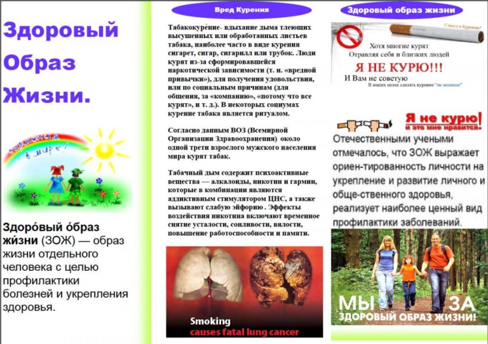 Буклет ЗОЖ