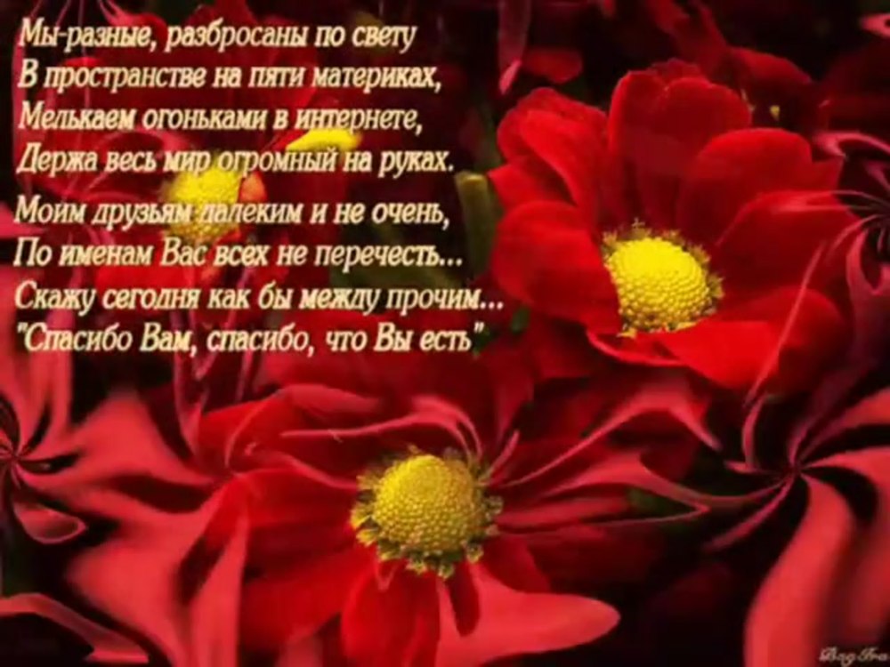 Спасибо за поздравления