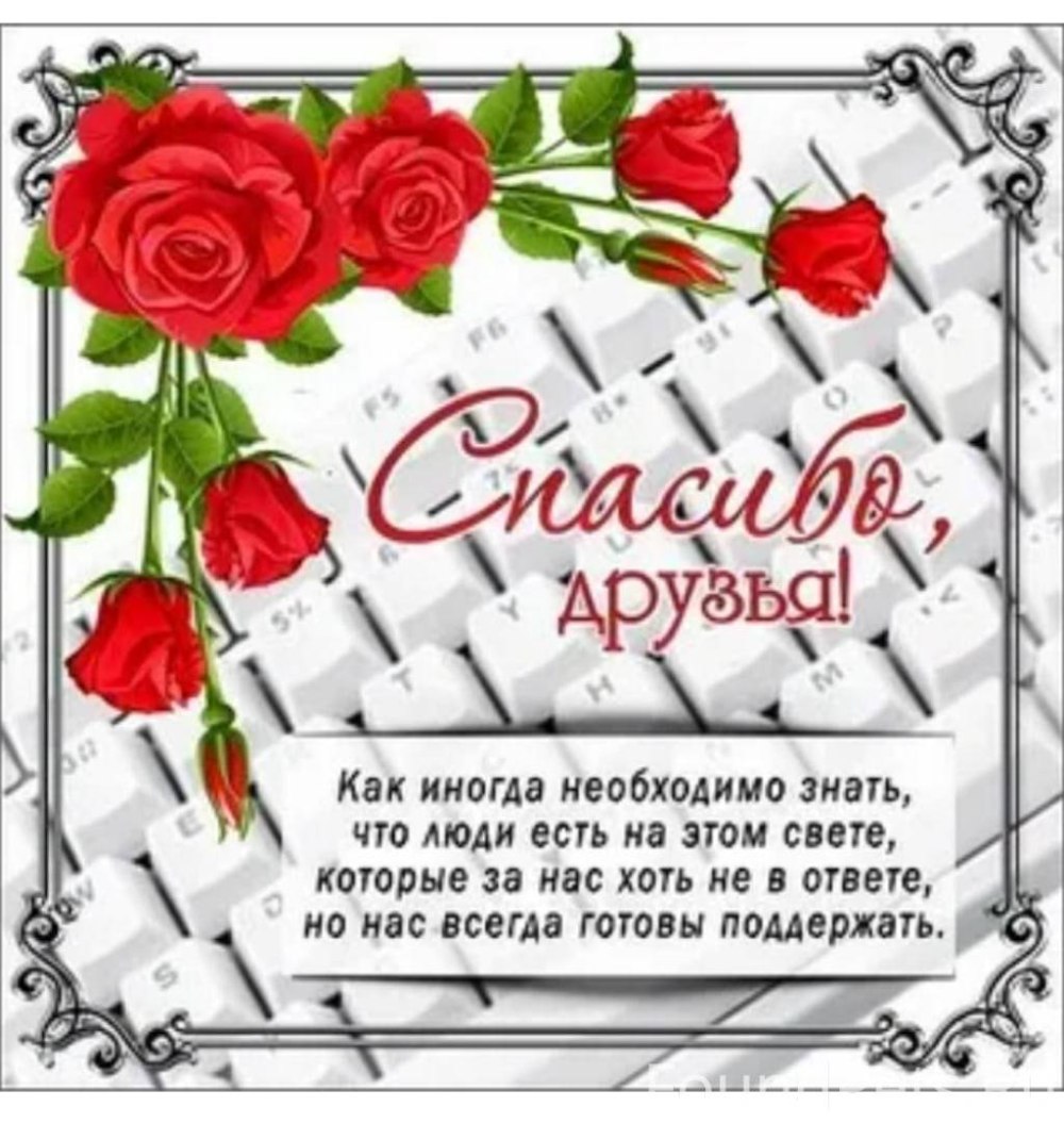 День спасибо стихи благодарности