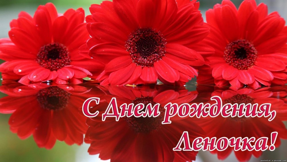 С днем рождения