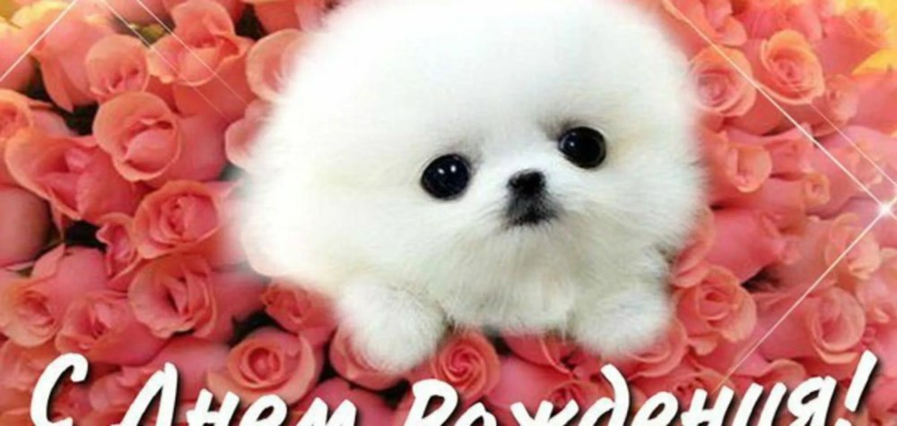 С днём рождения Арина открытки