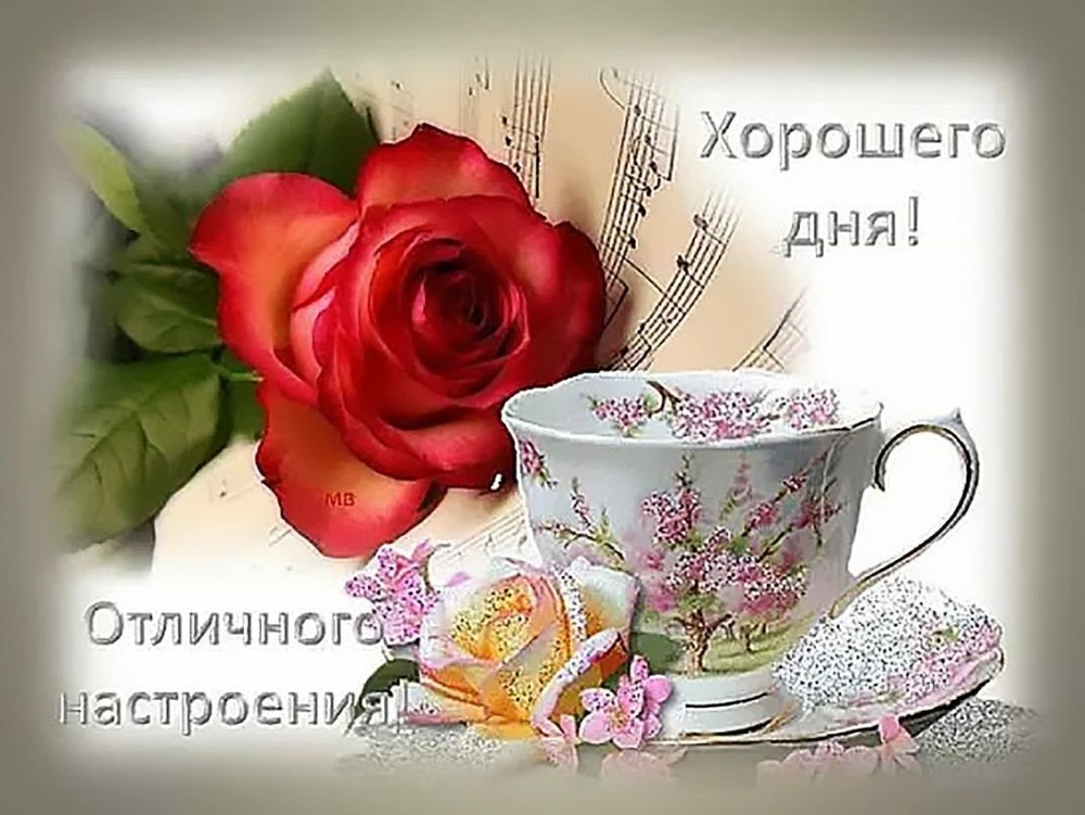 Открытки с добрым днём