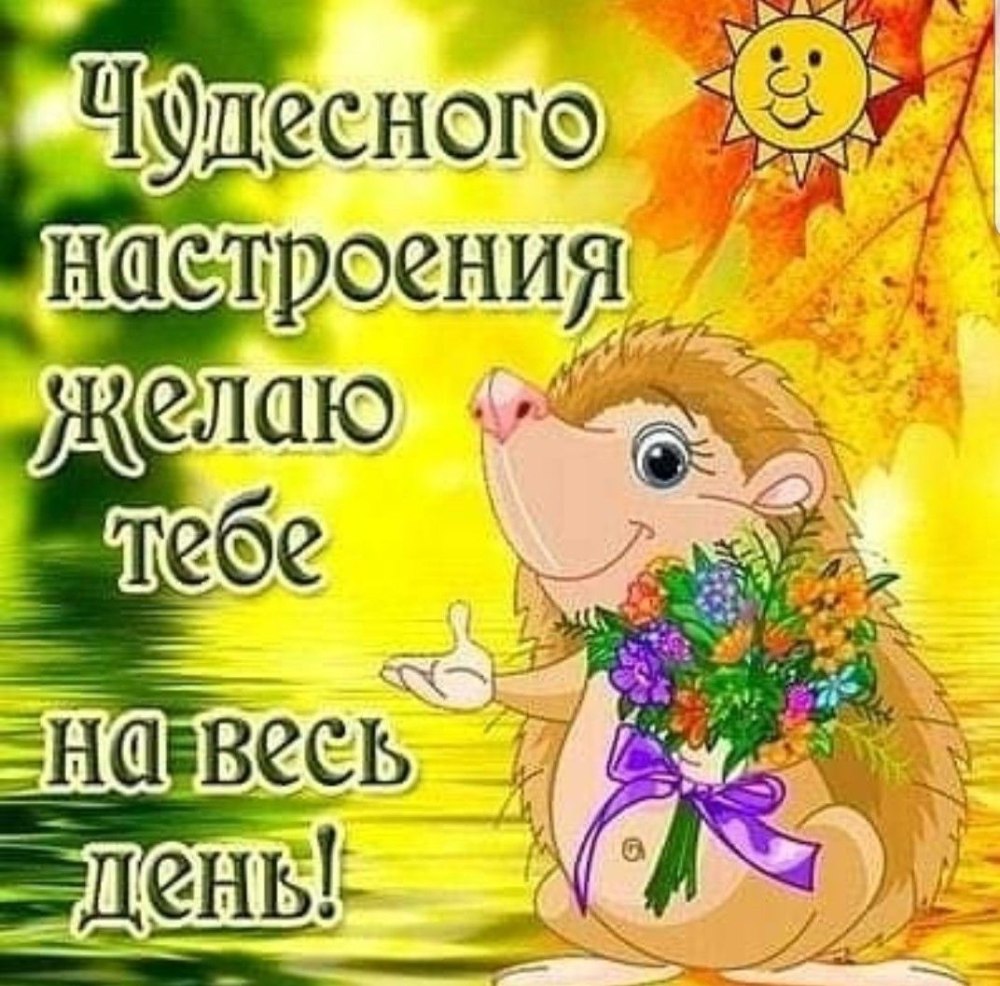Поздравления со вторником