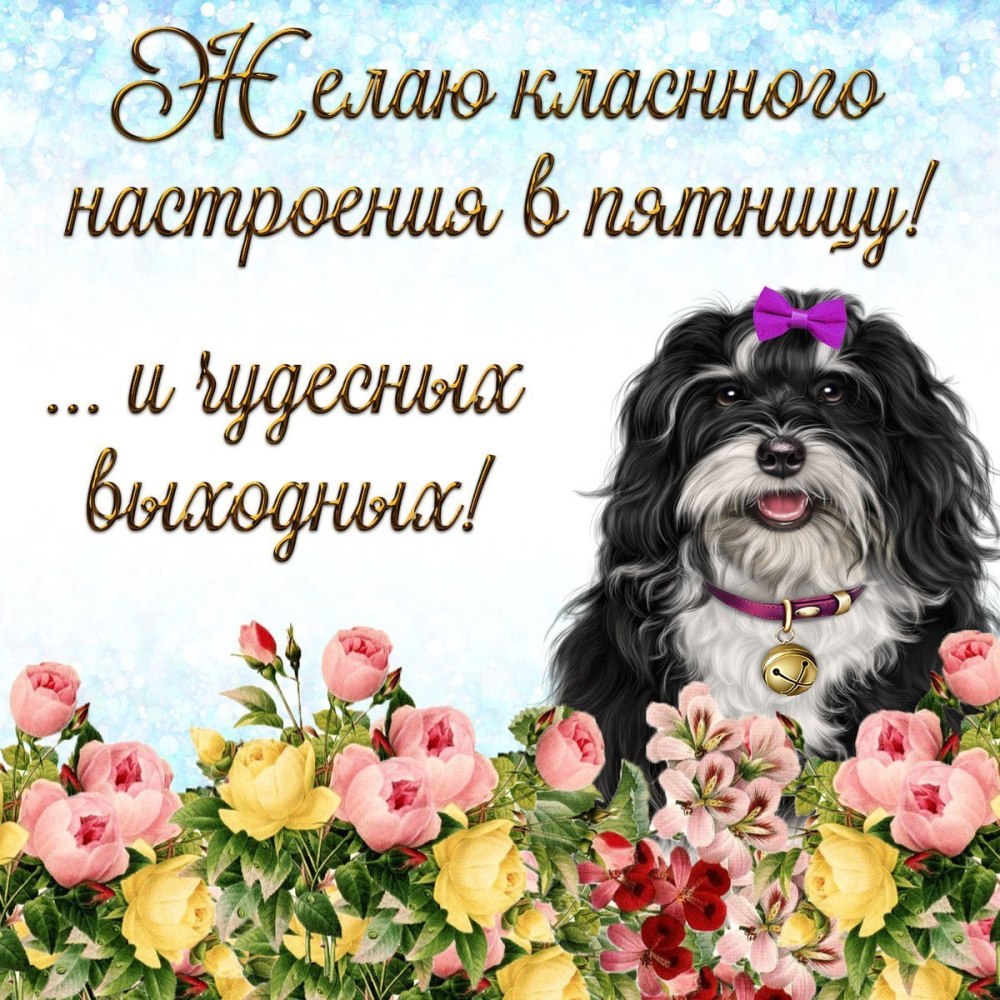 Хорошего дня и отличного настроения