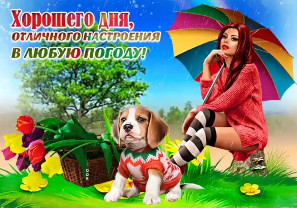 Чудесного настроения на весь день