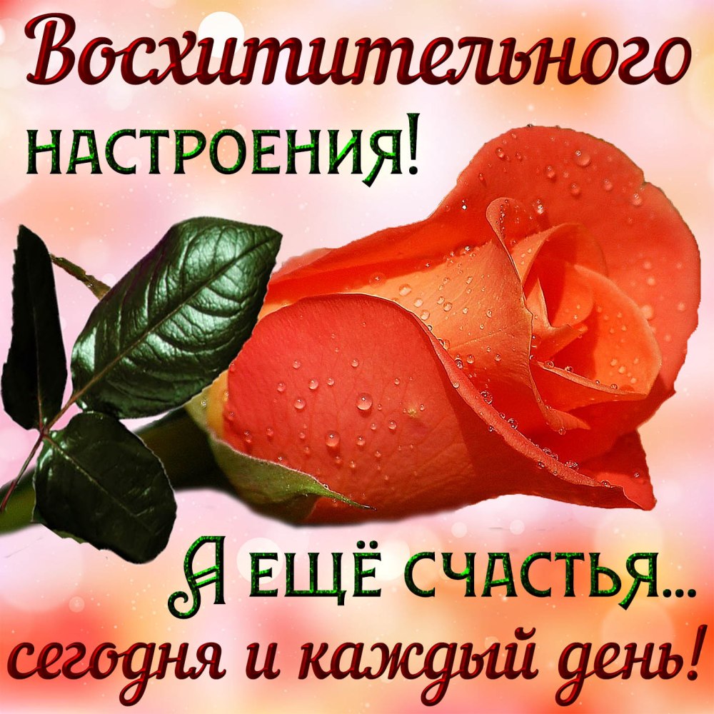 Доброе утро и отличного настроения