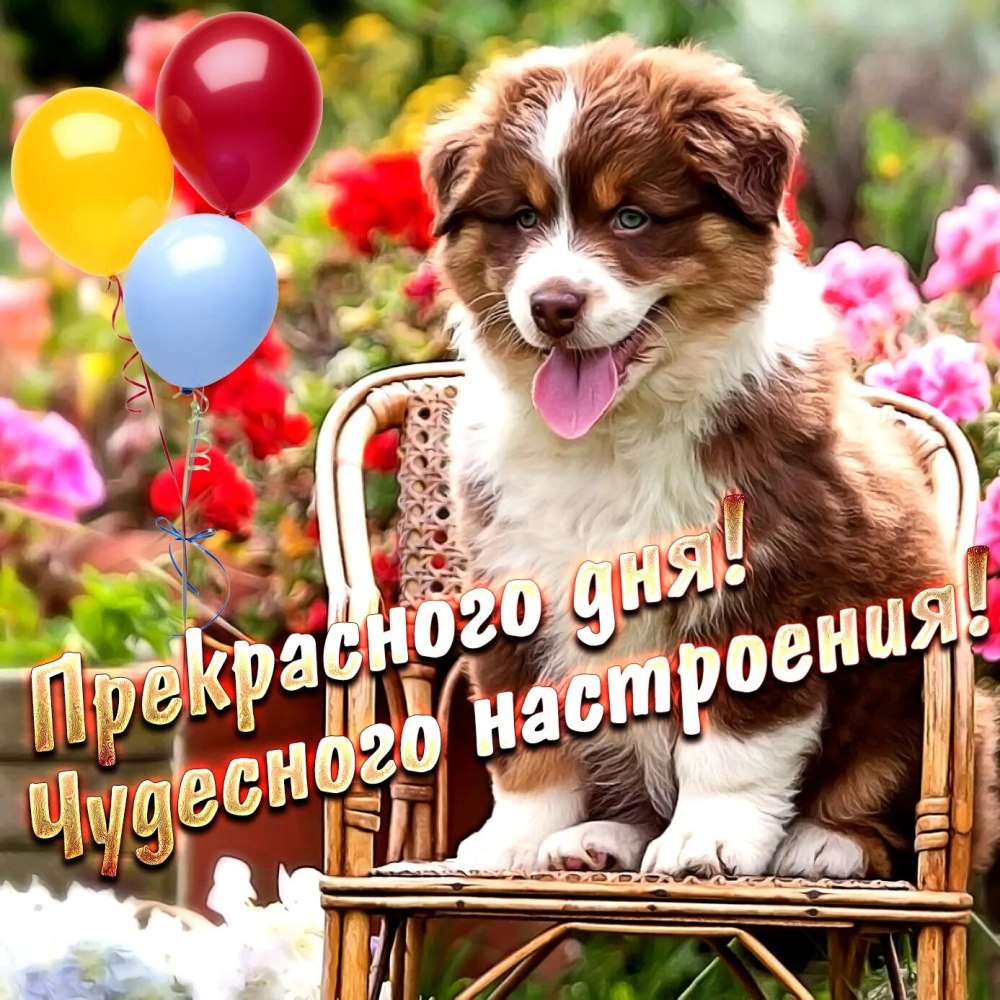 Открытки отличного настроения