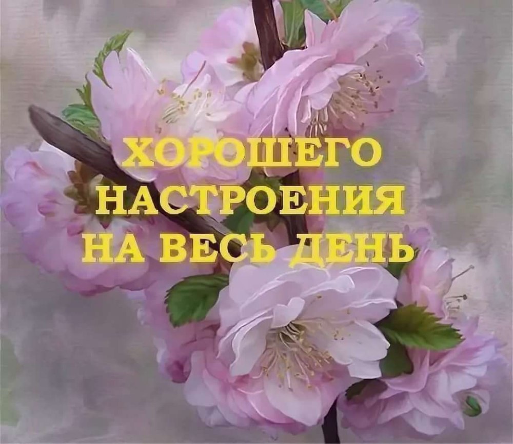 Открытки с приветом и пожеланиями