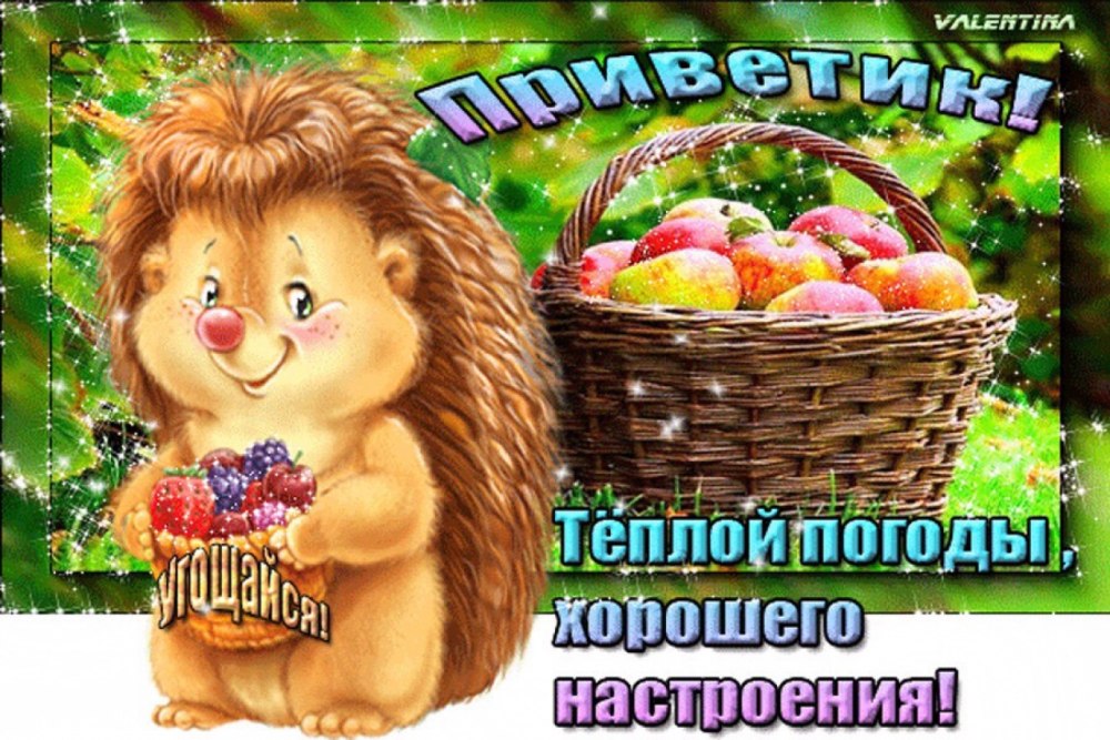Отличного дня