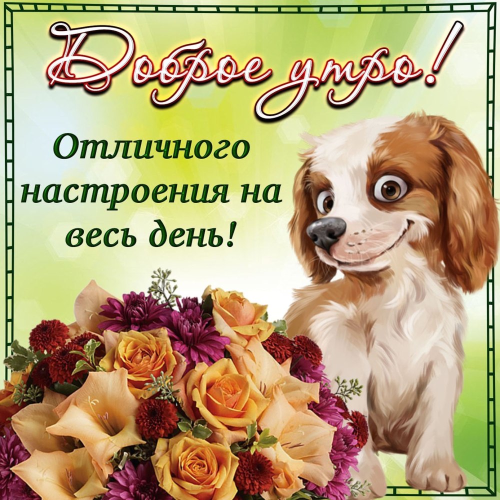 Доброго дня и хорошего настроения