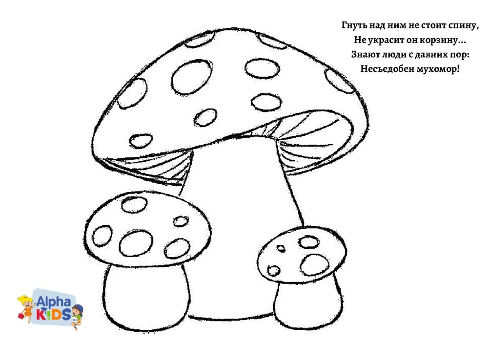 Мухомор раскраска