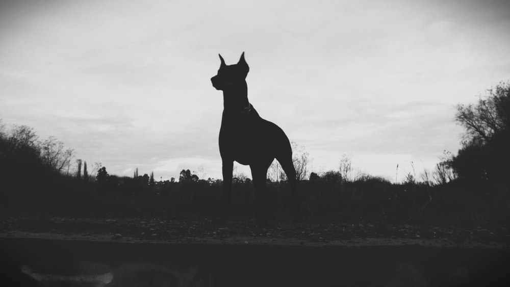 Черные облака