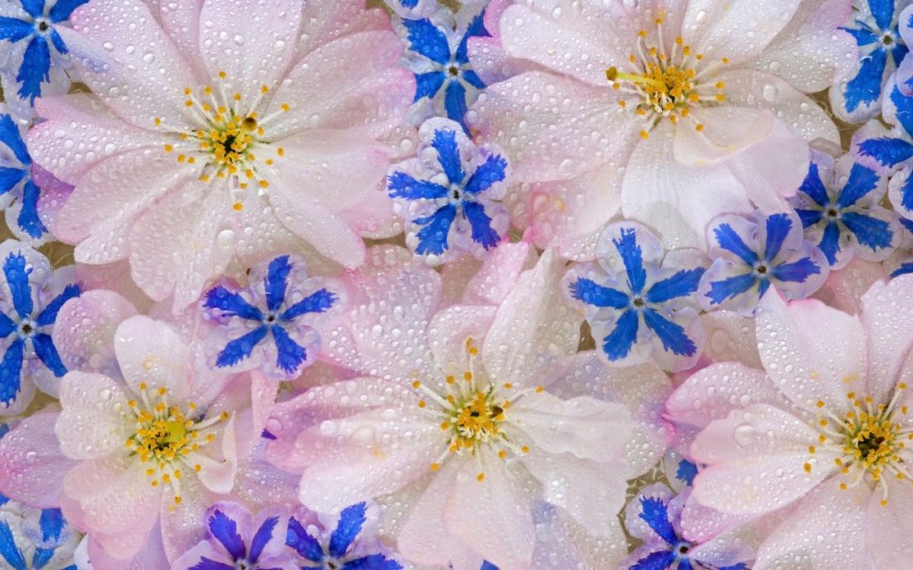 Блестящие цветочки