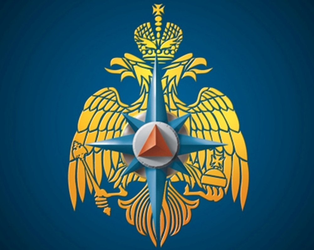 Министерство по чрезвычайным ситуациям (МЧС России)