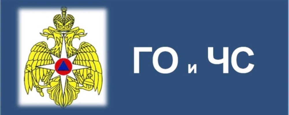 Значок го и ЧС