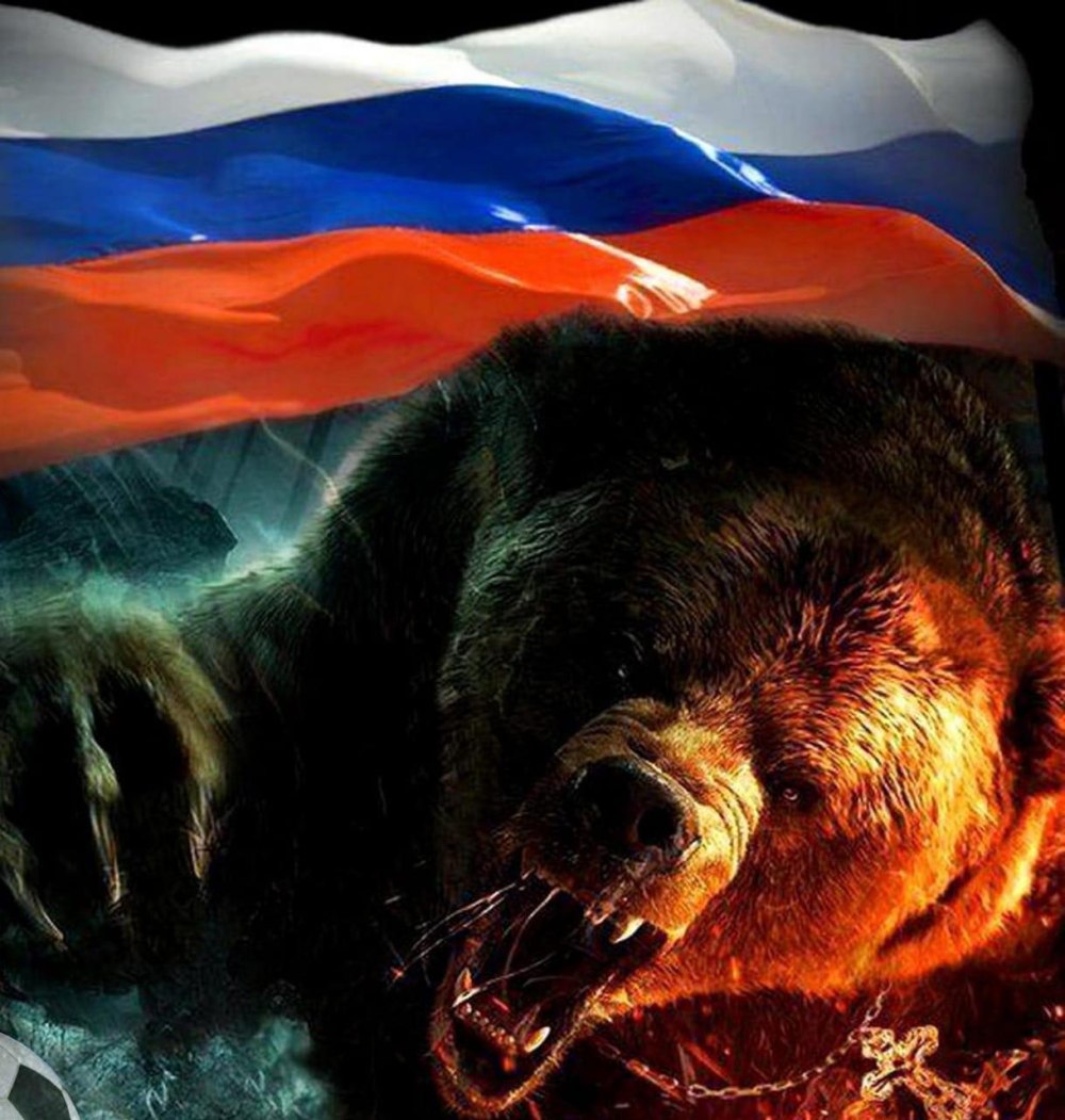 Медведь на фоне флага