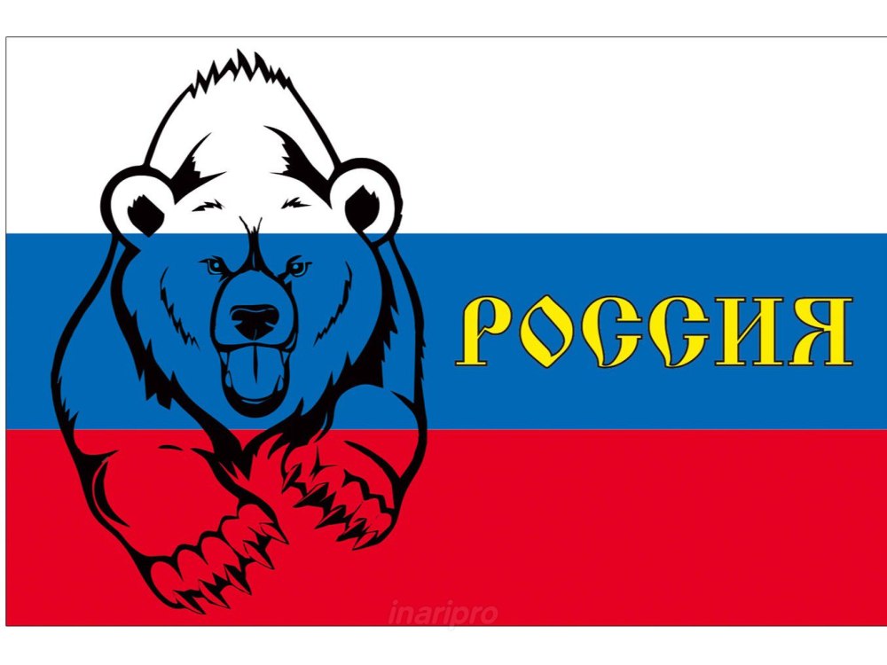 Медведь символ России