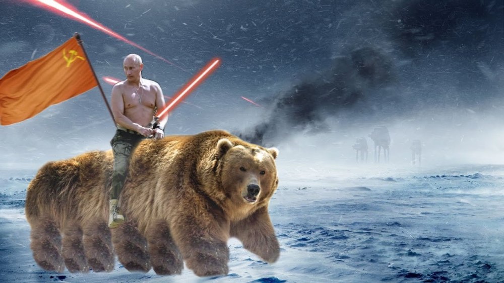 Медведь Россия