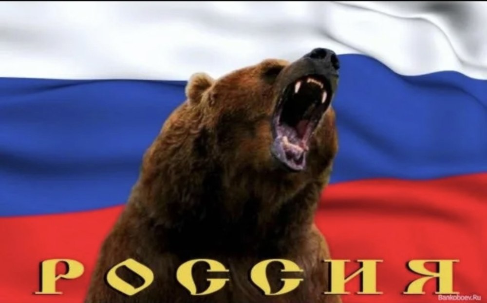 Медведь Россия