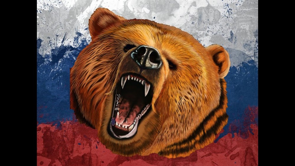 Медведь Россия
