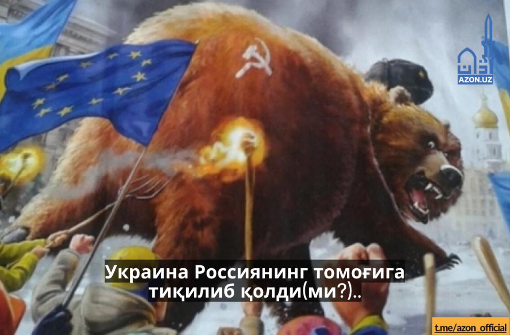 Медведь кач